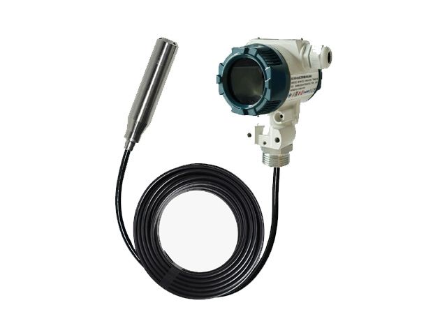 Split Immersion Level Transmitter